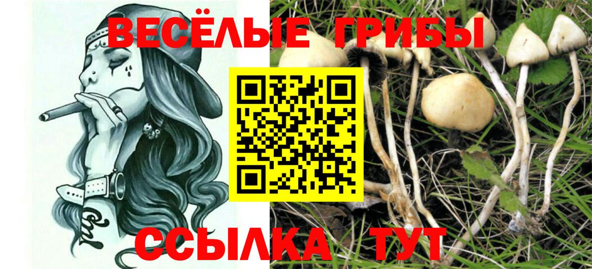 Псилоцибиновые грибы мухоморы Ногинск