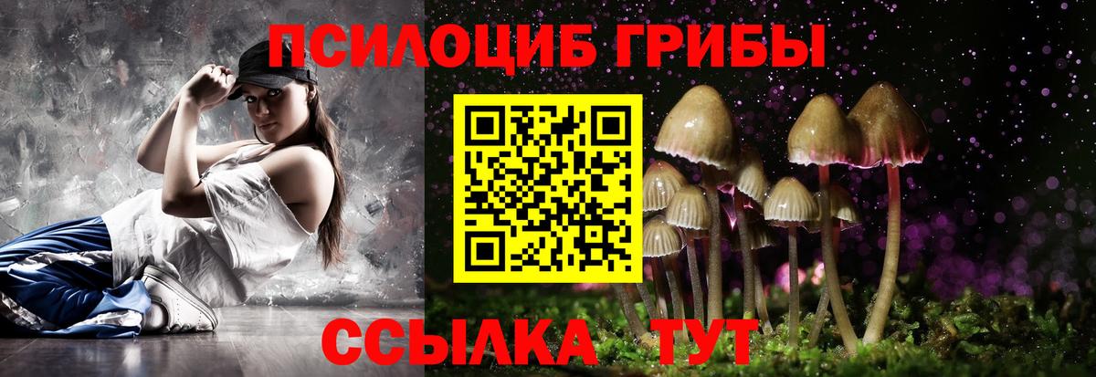 как найти закладки  Вход с VPN  Галлюциногенные грибы MAGIC MUSHROOMS  Ногинск  Псилоцибиновые грибы прущие грибы 